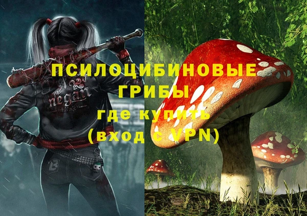 меф Тавда